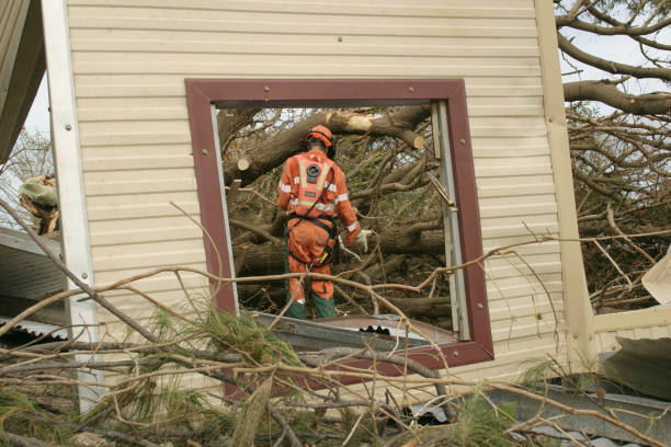 Best Commercial Tree Services  in Edgewood, IN